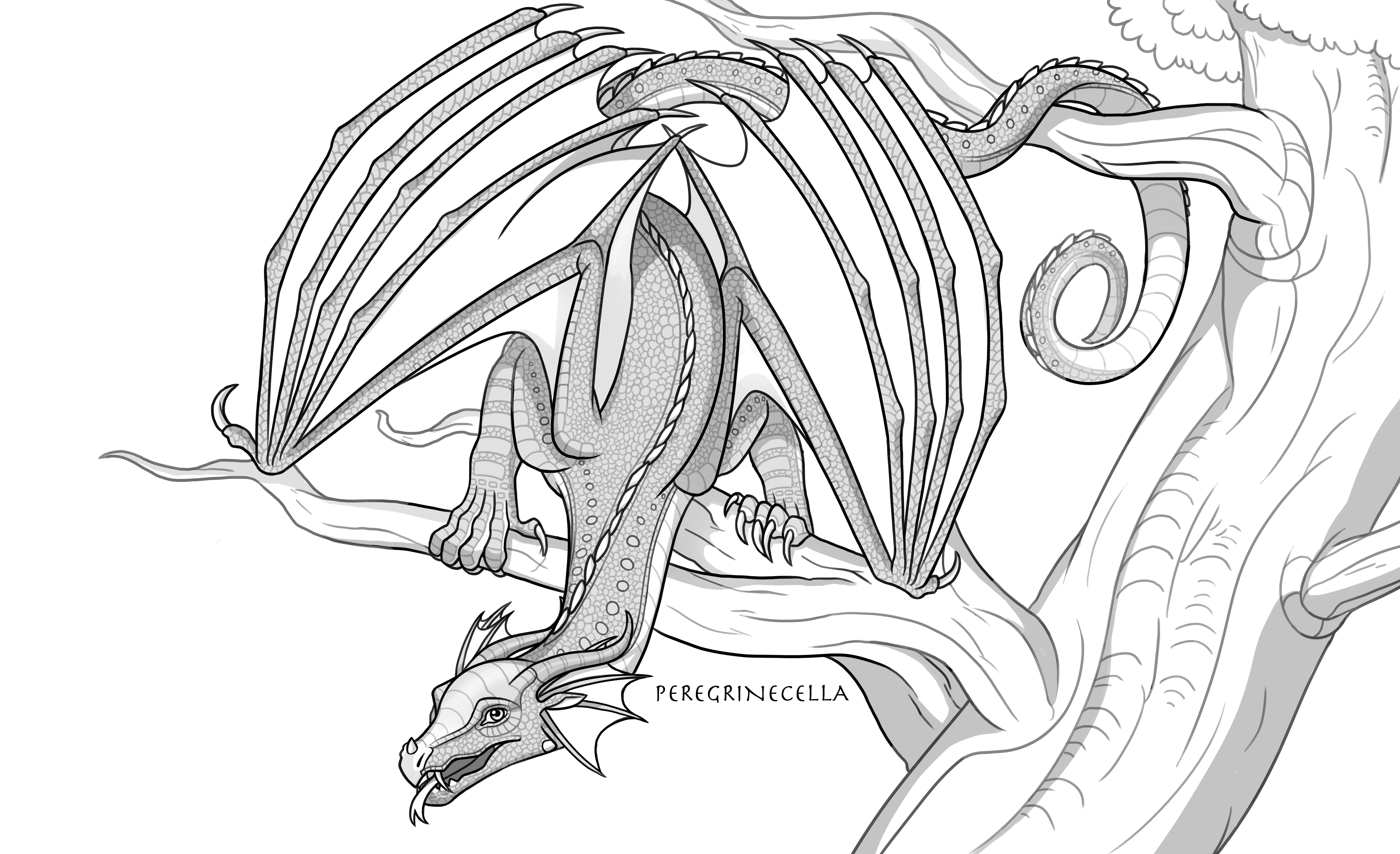 Blogs - WOB Cars, image size:4500x2746