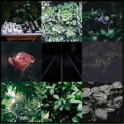 Static-assets-upload8760223502746981161