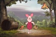 Piglet walking