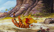 Tigger has bounced into Pooh Bear again