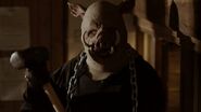 Piglet