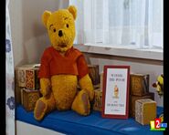 Winnie the Pooh is a real stuffed toy bear