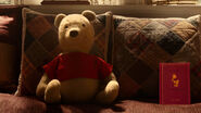 Winnie the Pooh is a stuffed bear