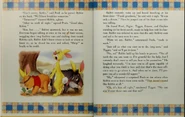 13th page
