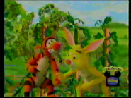 Tigger tries to convince Rabbit to take up a new hobby.