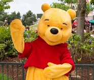 Winnie the Pooh at Walt Disney World and Disneyland