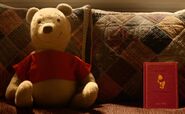 Winnie the Pooh stuffed toy bear and book