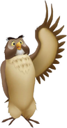Owl KH