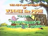The New Adventures of Winnie the Pooh Volume 9: Everything's Coming Up Roses