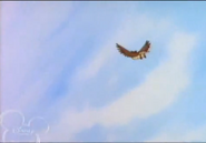 Owl can fly again!