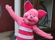 Piglet at Walt Disney World and Disneyland