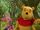 Think, Think, Think (Book of Pooh Song)