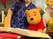 The Book of Pooh - Christopher Robin with Pooh