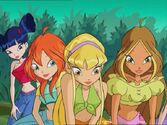 Winx 2 in 111