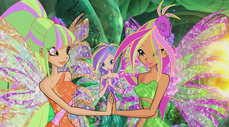 Stella, tecna e flora sirenix in 601