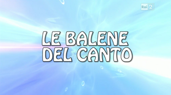 Le balene del canto