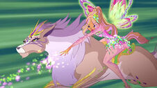 Winx and Fairy Animals 06062