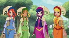 Winx 4 in 708