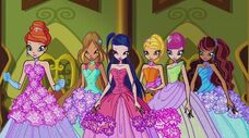 Winx 524