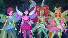 Winx bloomix in 612