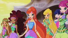 Winx 2 in 705