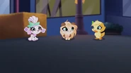 Aisha, Bloom and Tecna in their Fairy Pets form.