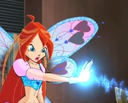 Bloom Fuerza de la Vida.