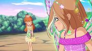 Winx-8x20-4