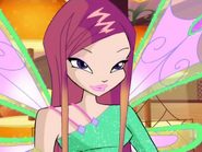 RoxyWinx