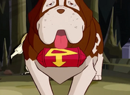 Zark the Dog