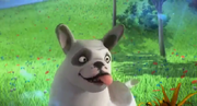 CaneEMDA