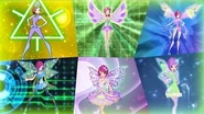 All transformation in one video