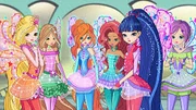 Winx w 