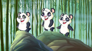 Pandas 5