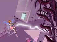 IMG 3545.jpg (171 KB)