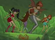 Tressa's mermaid form.jpg (237 KB) Musa's green wings.