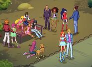 Winx and guys