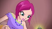 Winx Club - Episode 522 (3)