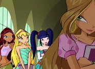 Flora sin su collar.