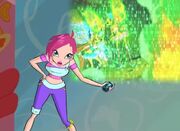 Winx-411-a-solution-clip