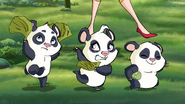 Pandas 2