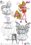 Diseños de 2006-2007.