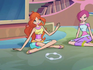 WinX-4x16-008