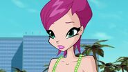 WinX-5x14-149