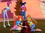 Musa, Tecna, Bloom, Flora, Aisha - The Shadow Phoenix.jpg (158 KB)