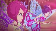 Winx-7x12-7