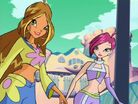 WinX-2x01-224