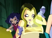 Investigando a fondo la ruta.