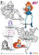 Diseños del 2006-2007