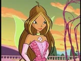 Winx (transformation)